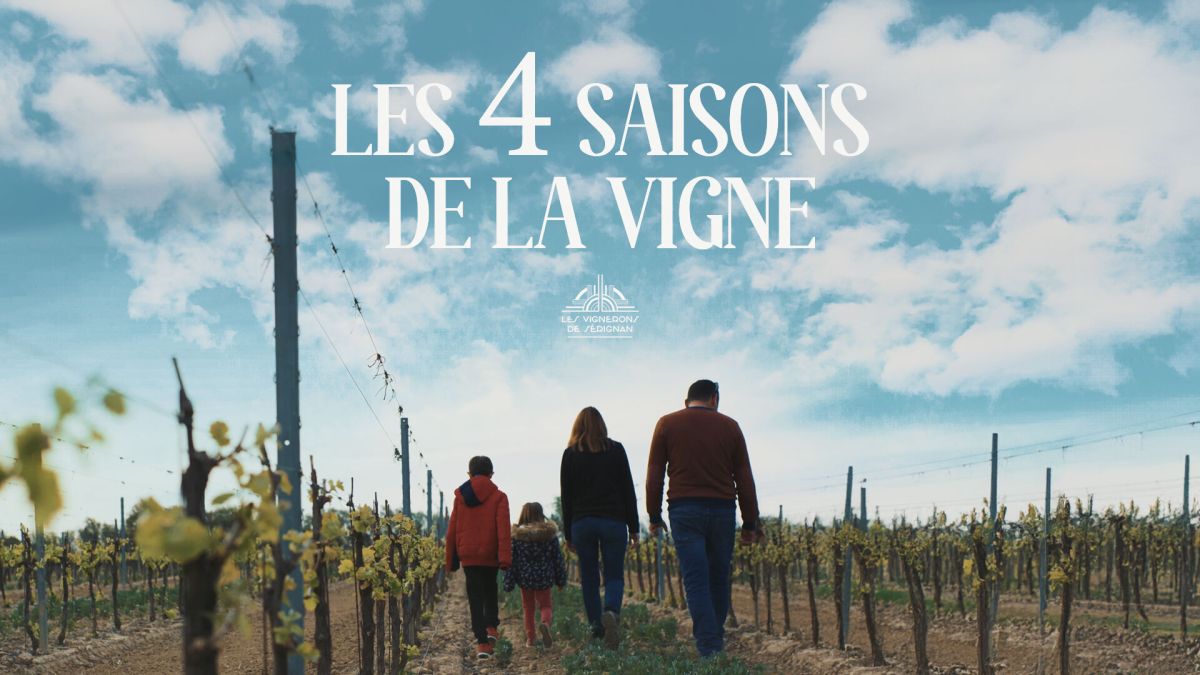 Les 4 Saisons de la Vigne Les 4 Saisons de la Vigne